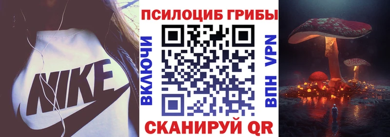 Псилоцибиновые грибы Magic Shrooms  Луга 