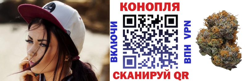 Канабис планчик  Луга 